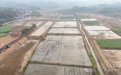 “烂泥田”变身“丰产田”  ——浠水县高标准农田建设激活春耕动能