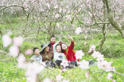 花绽山村引客来