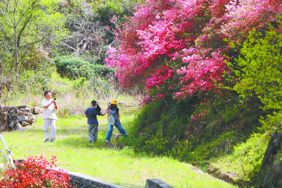 山水间涌动着踏青赏春热潮  英山三月文旅市场持续升温