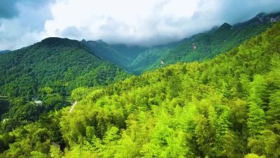 《山路十八弯》黄冈版