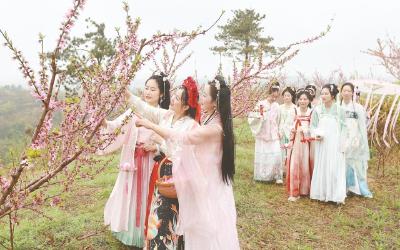 五云山十里桃林成乡村振兴支点