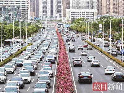 武汉这条5.5公里月季大道“爆街”  五一假期将进入最佳观赏期