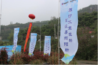 10万尾鱼苗入江，多部门开展增殖放流活动