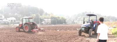 科技创新让“良种”稳粮仓底气更足 中国人饭碗端得更稳、更牢