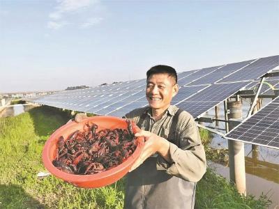 龙感湖绘就稻香虾肥好“丰”景