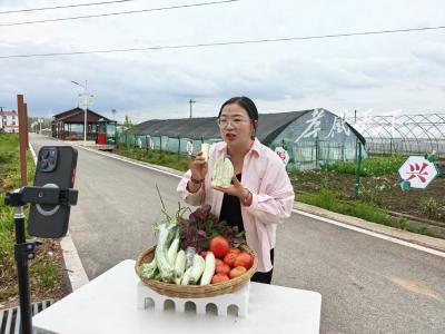 从一筐菜到一条链！孝昌蔬菜产业“链”上起舞