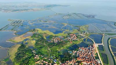 省级榜单！黄冈喜提两张“生态名片”