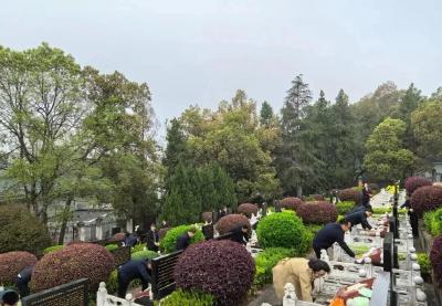 回归“清净”与“文明”  我市启动清明节祭扫保障工作
