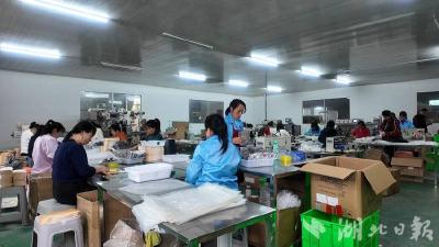 创新产品+电商发力 蕲春蕲艾一季度产销势头强劲