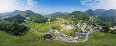 揭秘株林镇爆红密码，每个村子都有专属模样