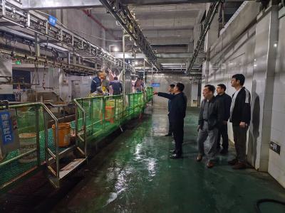 东坡肉飘香！黄州区畜牧事业发展中心守护市民“舌尖安全”