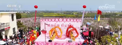 赏花观鸟游“催热”春日经济 以生态优势为媒激活多元业态“新”活力