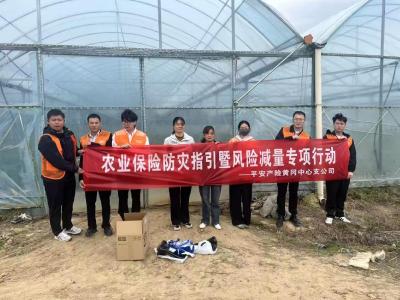 平安产险黄冈中支以练备战推动农业风险减量