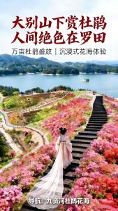 五条旅游线，一颗振兴心——导游晏扬帆的朋友圈里，藏着大别山振兴的密码