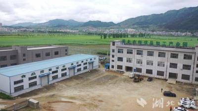 古法+创新！蕲春特色农产品走红市场