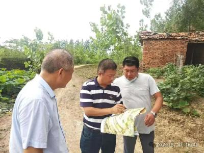 市自来水公司开展缅怀吴劲松祭扫活动