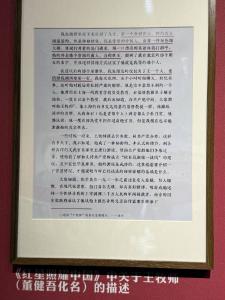 斯诺侄子：武汉之行让我了解到更多历史细节