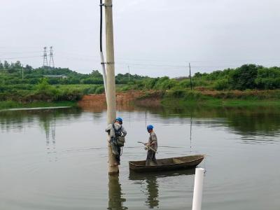 国网蕲春县供电公司：守护从不因风雨“断电”