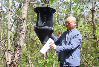 三十二载扎根青山 匠心守护生态底色——记全国“最美森林医生”石和波