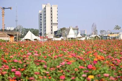 满城芳华·蝶变进行时丨潜江：精修一城景 幸福入万家