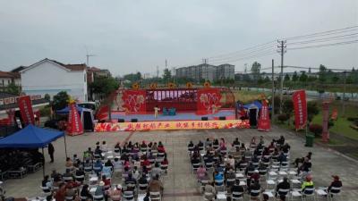 万丈湖街道：以虾为媒 打造农文旅融合乡村振兴样板