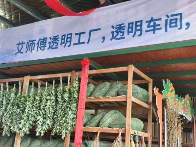 艾师傅5G透明工厂落地，蕲艾开启私人定制