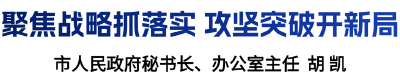 部门话落实 | 胡凯：聚焦战略抓落实 攻坚突破开新局