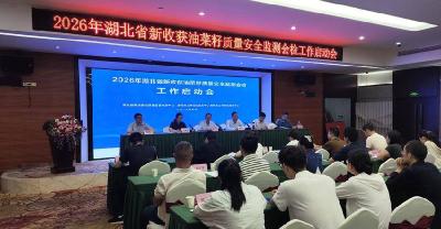 2026年湖北省新收获油菜籽质量安全监测会检在黄梅启动