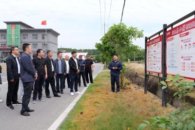 国网蕲春县供电公司开展“转动一片绿·电亮一座城”品牌体验活动