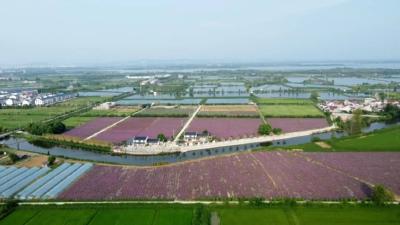 一块烂尾地如何重生？破局密码竟在八里湖