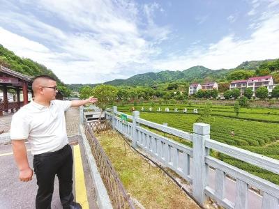 槐韵润心 文明兴村——蕲春县檀林镇槐树村“全国文明村”建设侧记