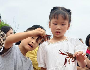 从“大崎清水虾”畅销看边陲小镇产业思路