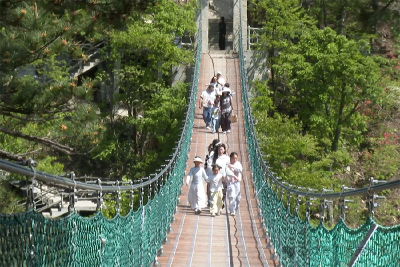 山水为媒、文旅为桥！浠水全域旅游热潮涌动