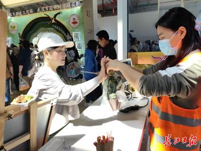 武汉都市圈花展迎来客流高峰，文商旅体融合激活假日消费