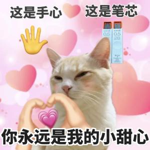520特辑→简单点，相亲的方式简单点