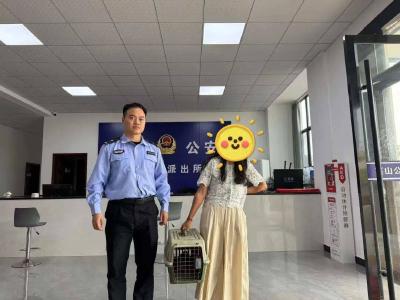 暖心！村民散步捡回“落难”猫头鹰，警民携手送“小家伙”回家