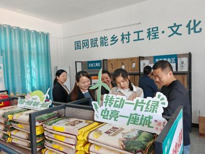 用行动传递品牌温度  ——国网黄冈供电公司开展“转动一片绿·电亮一座城”品牌体验活动