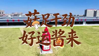 “菇”足干劲，好运“酱”来