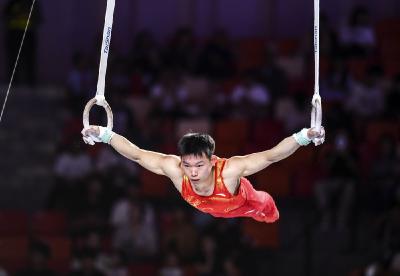中国队包揽体操亚锦赛、亚青赛吊环金牌 
