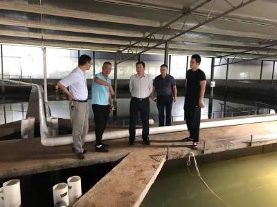 从“论吨卖原料”到“吃干榨净深加工”——浠水鳗鱼产业迈向高质量发展新赛道