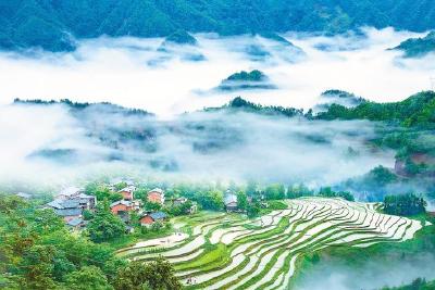 绿水青山流金淌银 恩施让绿色生态成为百姓“幸福不动产”