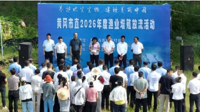 鱼苗跃长江 生态焕新颜  —黄冈市直2026年度渔业增殖放流活动圆满举行