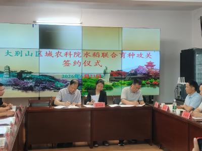 鄂豫皖三地农科院携手攻关！大别山水稻联合育种攻关合作协议正式落地   