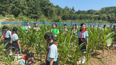 英山毕昇小学：少年争浇园中菜  劳育花开满校园