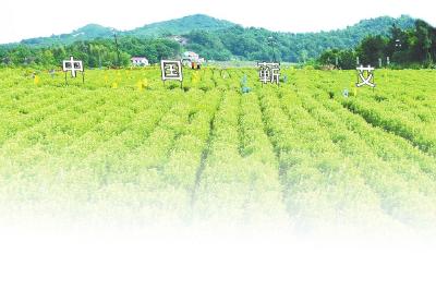院士同台对话 开出创新良方