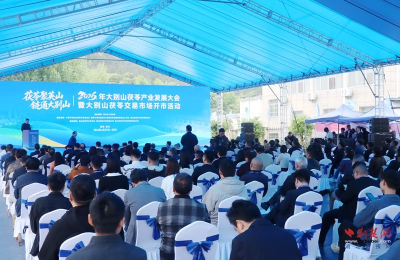 道地药材有了“新T台” ——英山大别山茯苓交易市场见闻