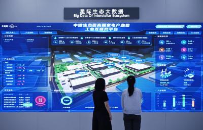 新华解码丨打通大中小企业融通堵点 七部门促平台经济协同发展