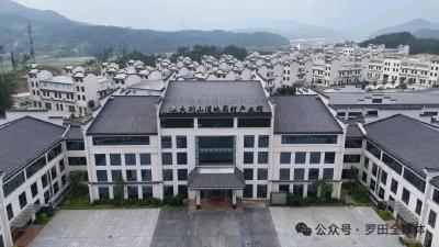 大别山药谷逆袭记