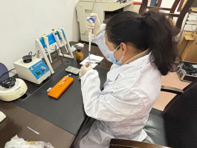 武当山对春节农产品市场进行专项抽检