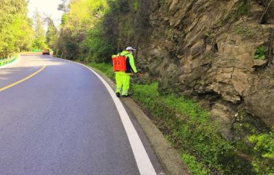 畅安舒美！武当山全力提升路域环境品质